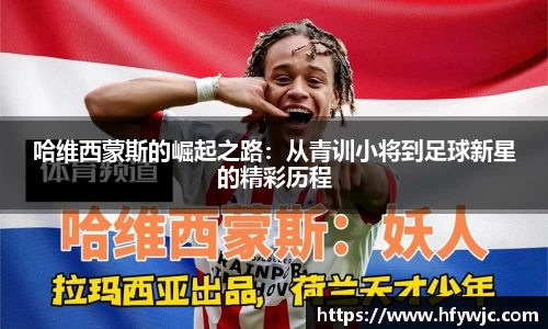 完美体育365平台官网