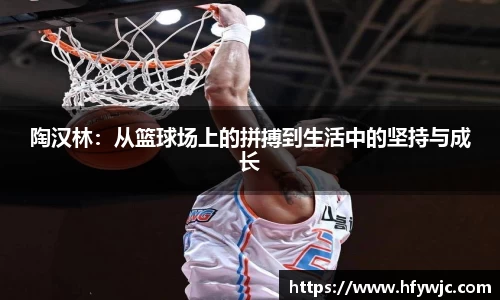 陶汉林：从篮球场上的拼搏到生活中的坚持与成长